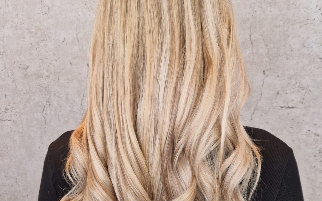 Herbst 2025 in Farbe